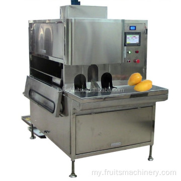 Mango သည် Splitter Machine ကိုဖယ်ရှားခြင်း